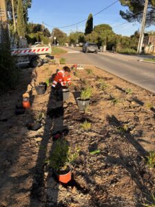 Plantations 2026 1