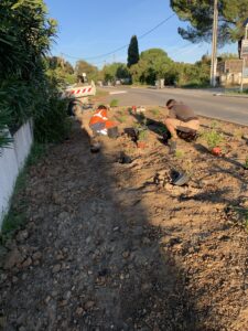 Plantations printemps 2026 2